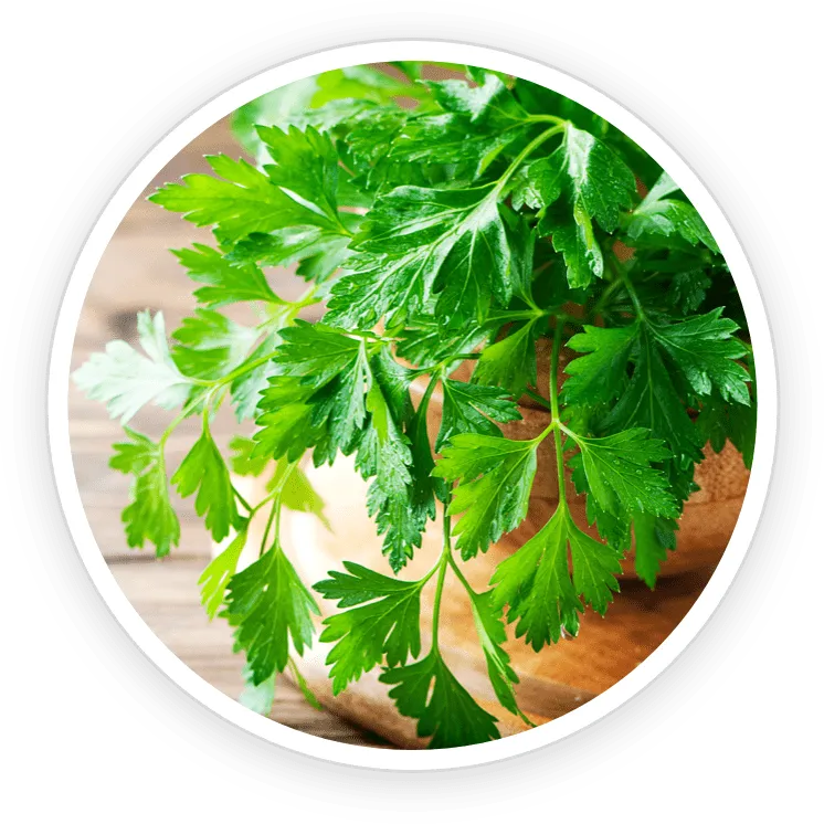 NanoDefense Pro Luteolin