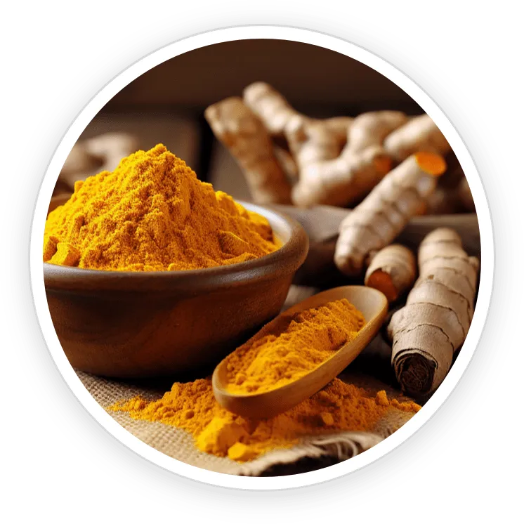 NanoDefense Pro Nano-Curcumin